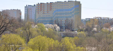 (C) KSM NA SKARPIE 2005